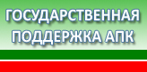 Господдержка