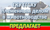 Племенное дело