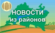 Новости из районов