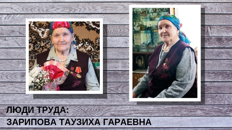 Татарстан труд. Зарипова Таузиха Гараевна. Татарстан труд женщины. Женщины герои труда. Герой Социалистического труда Удомельский район овцевод.